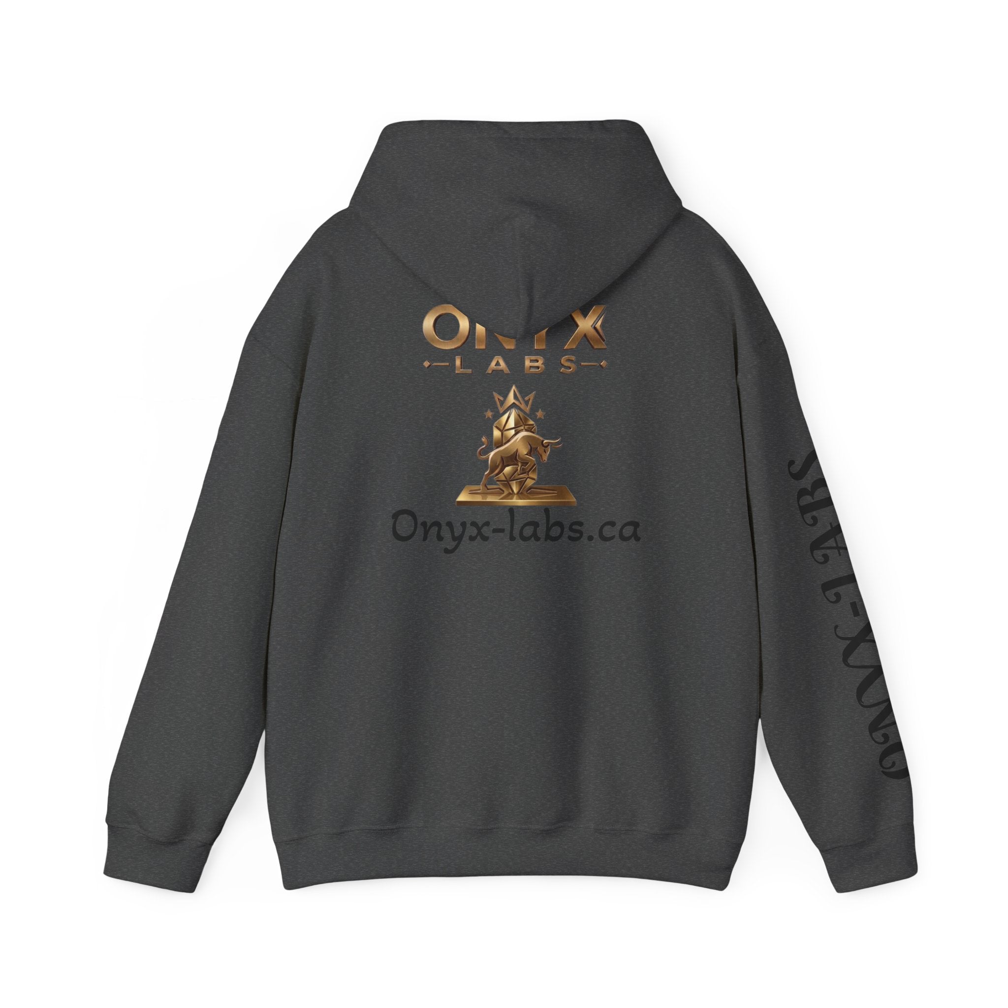 Onyx Labs Hoodie Gym Pullover